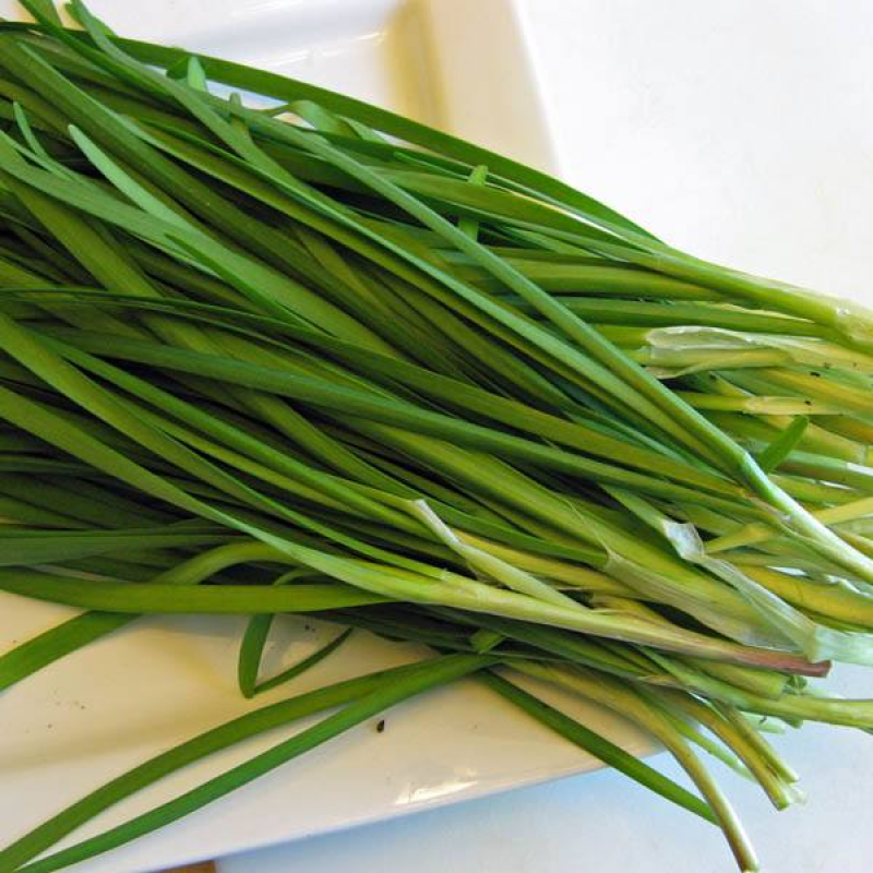 CHIVES Fuyuyo | 