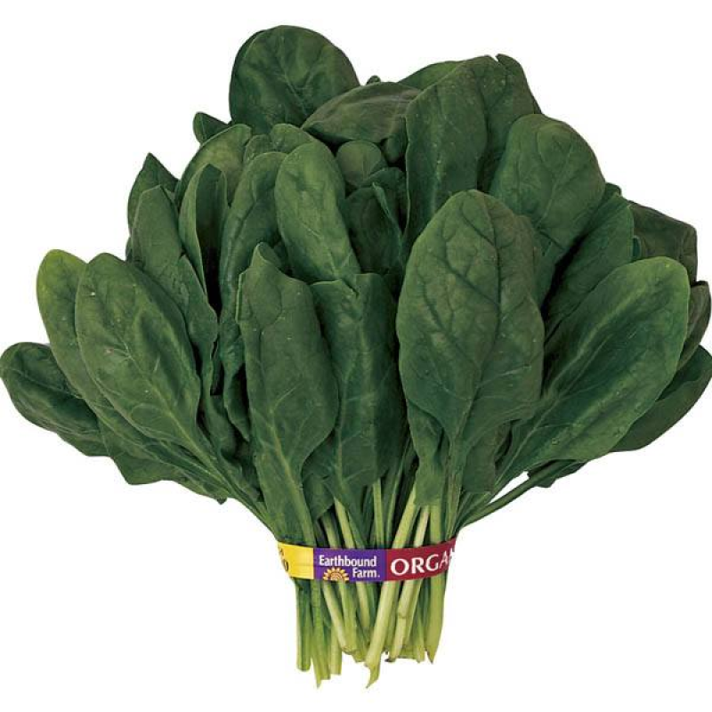 SPINACH Amsterdam Giant | 