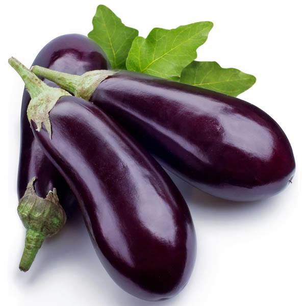 [Image: eggplant-florida-market.jpg]