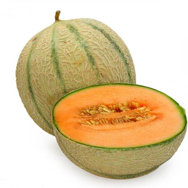 Rock Melon In Malay / Rock Melon - The Fresh Supply Company : Vitamin a